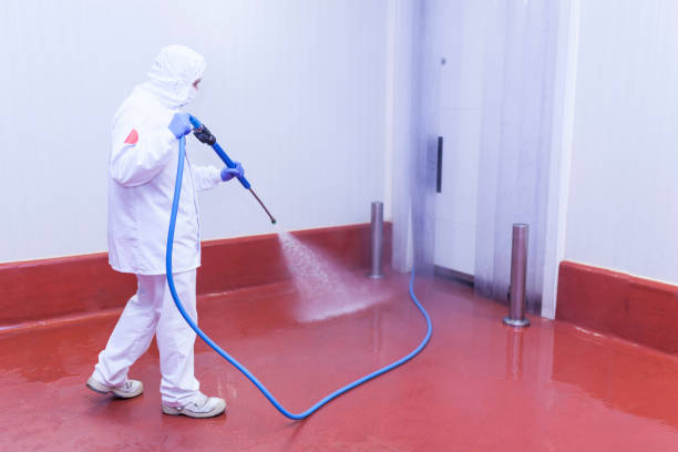 Best Commercial Pressure Washing in Drexel, NC