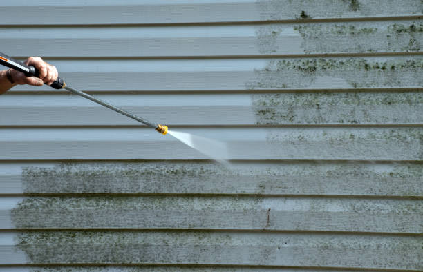 Best Roof Cleaning and Mildew Removal in Drexel, NC